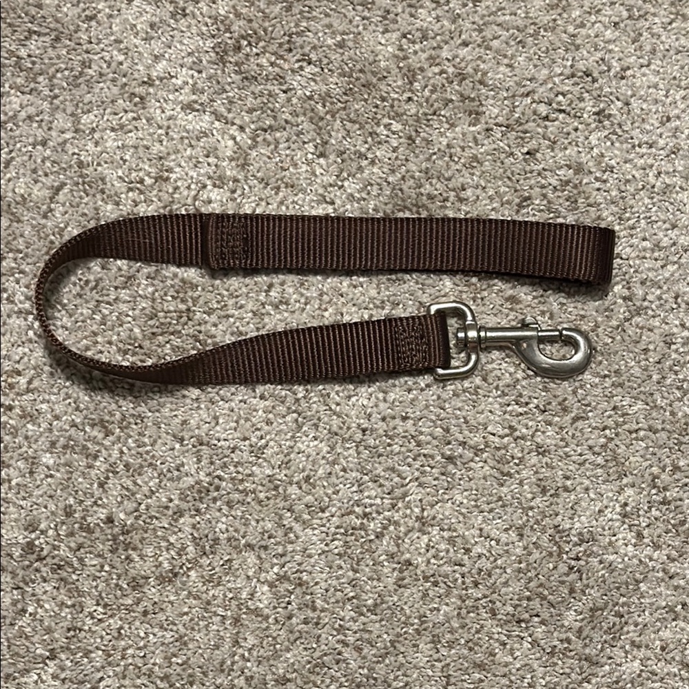 Durable Nylon Brown Dog Leash with Metal Clip